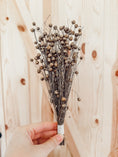 Load image into Gallery viewer, Harvest Spray Bundle
