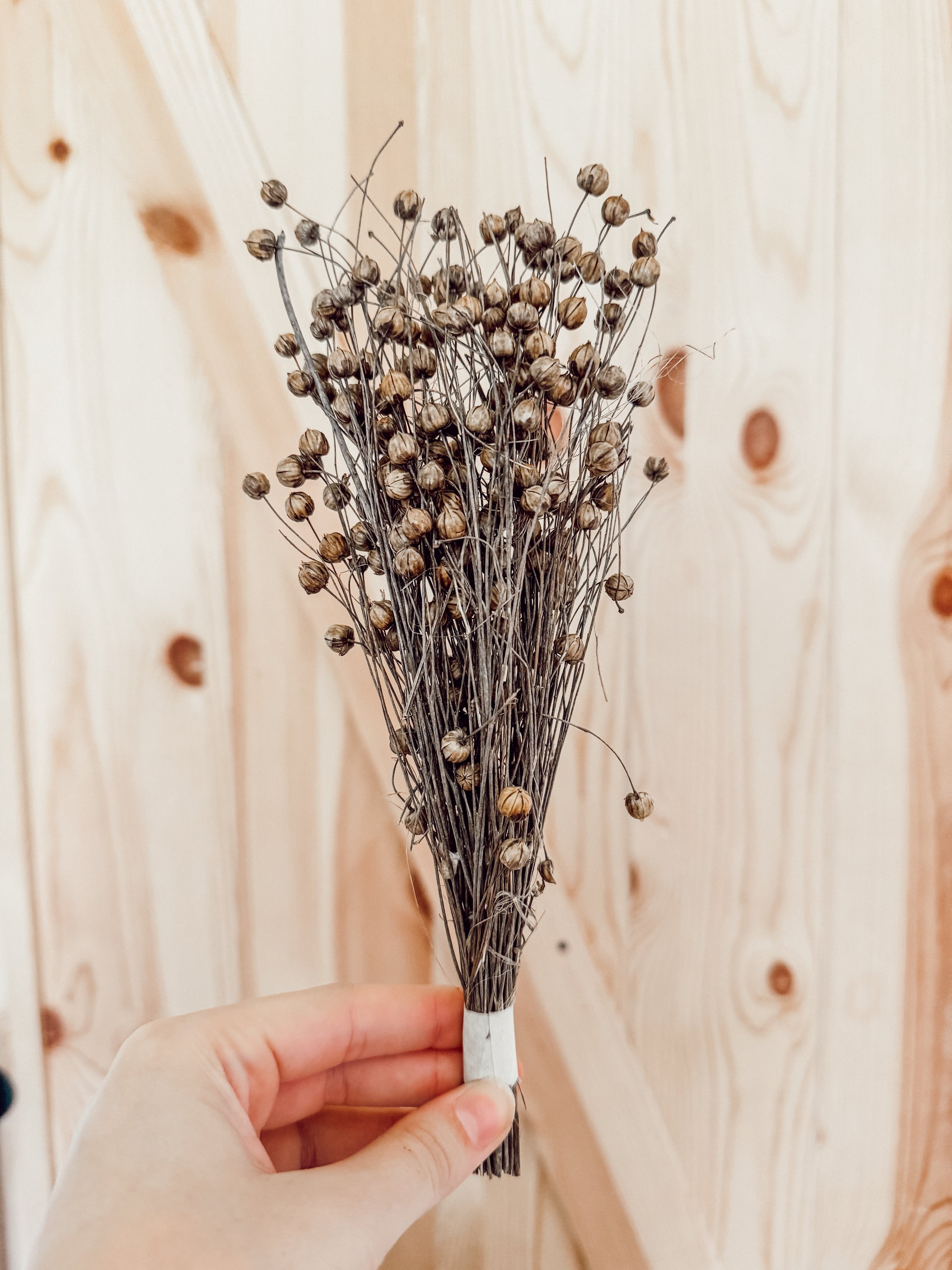 Harvest Spray Bundle