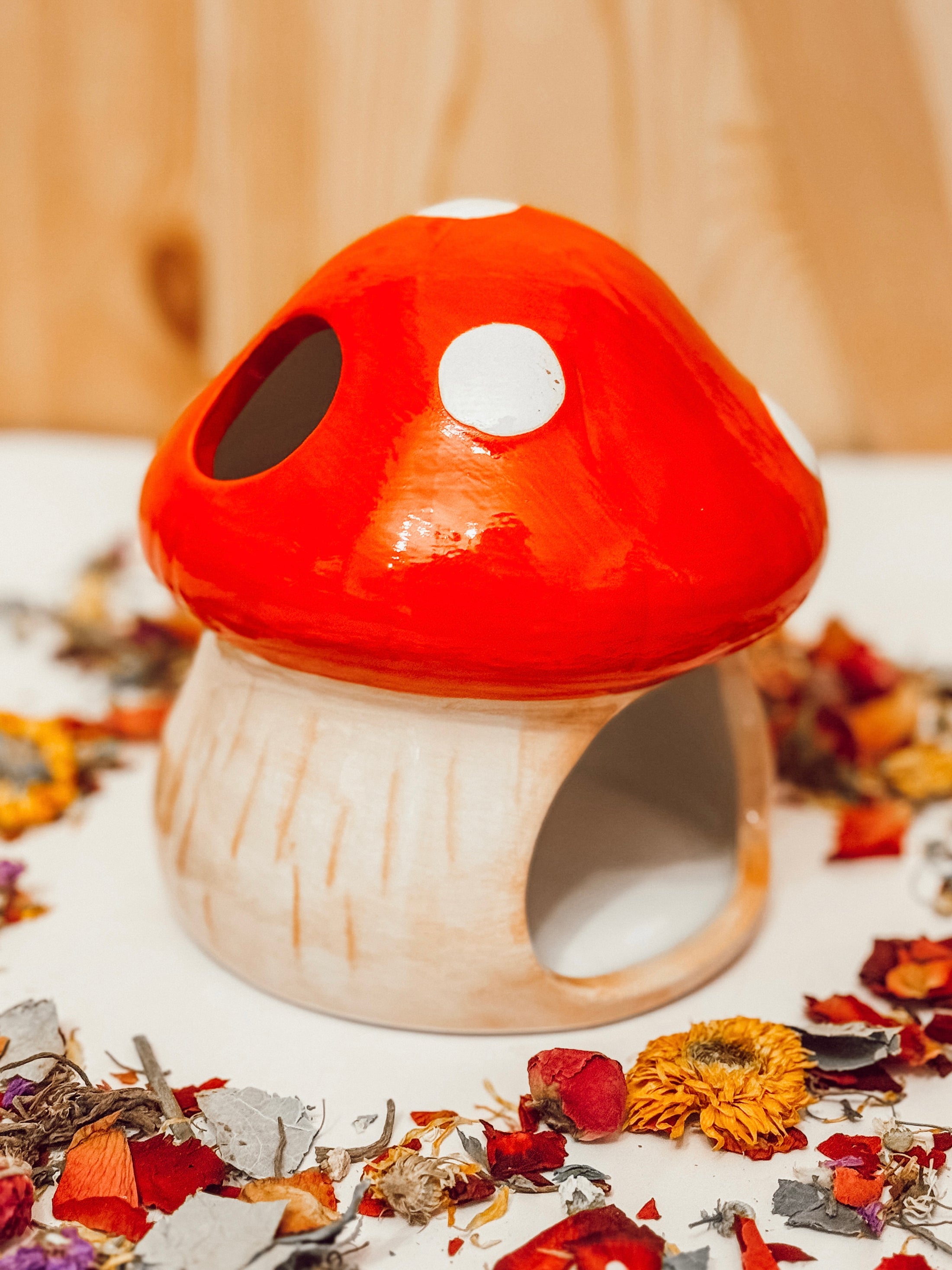Ceramic Red Mushroom Hide