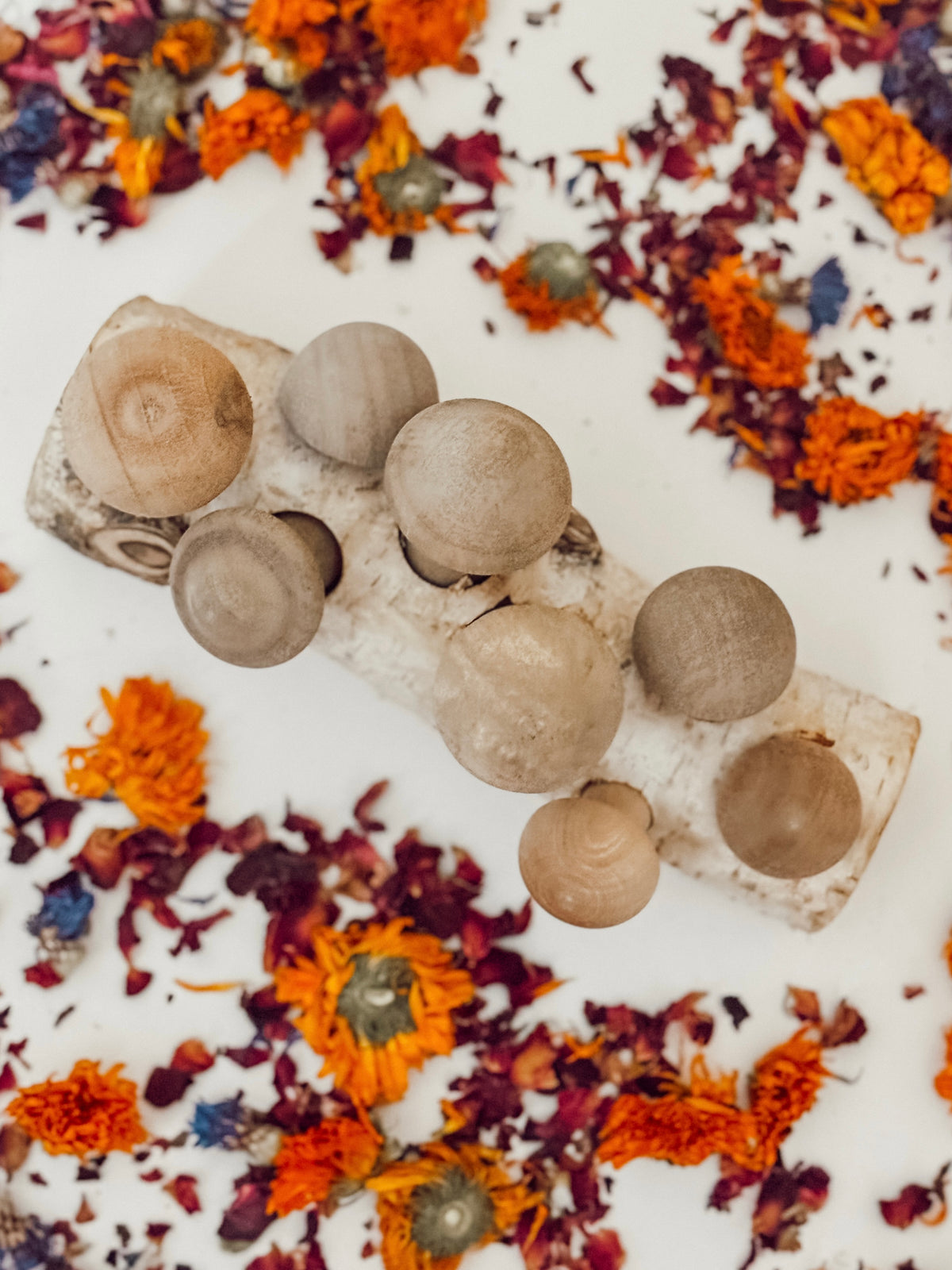Mushroom Forage Puzzle Toy