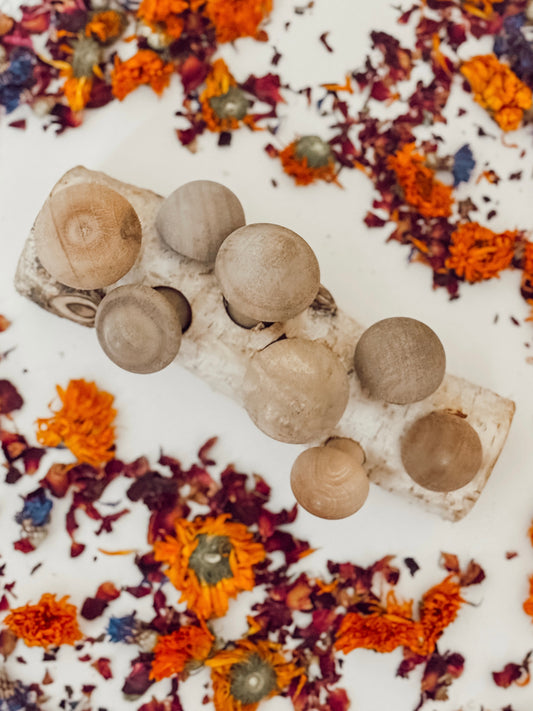 Mushroom Forage Puzzle Toy