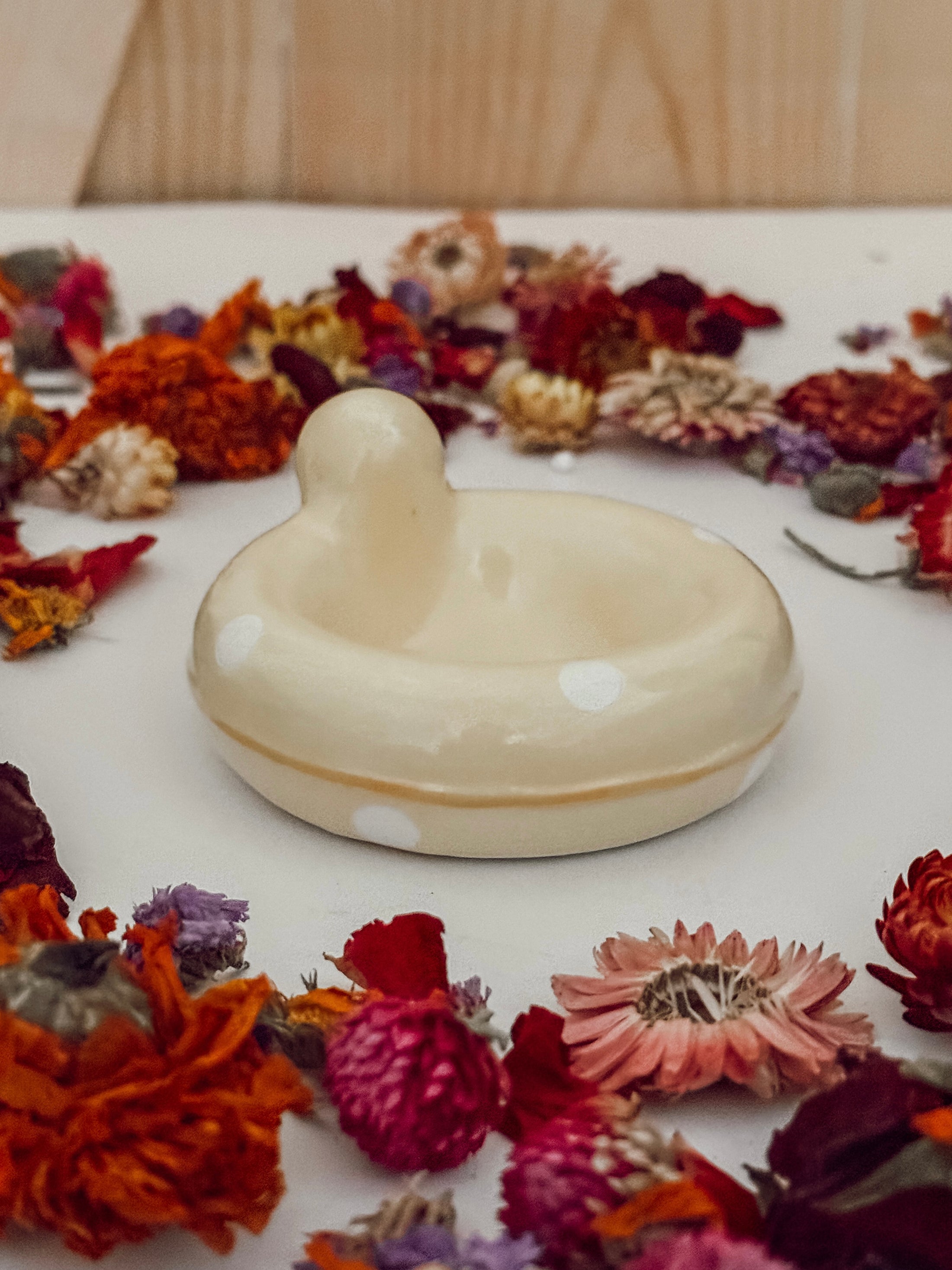Rubber Ducky Dish