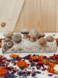 Load image into Gallery viewer, Mushroom Forage Puzzle Toy
