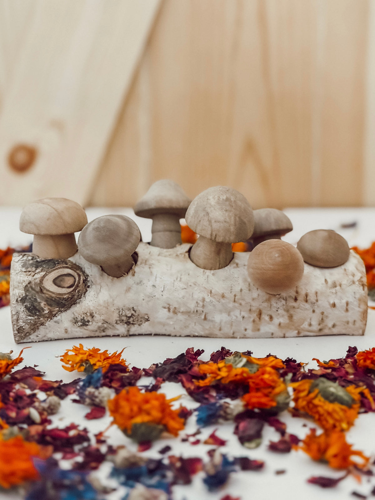 Mushroom Forage Puzzle Toy