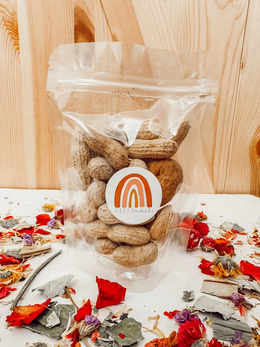 Mixed Nuts — Treat Pack