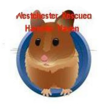Westchester Rescued Hamster Haven///Hopalong Hollow Rabbit Rescue