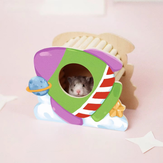Spaceship Hide