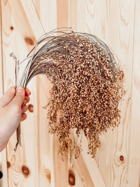 Silver Millet Sprays (125g)