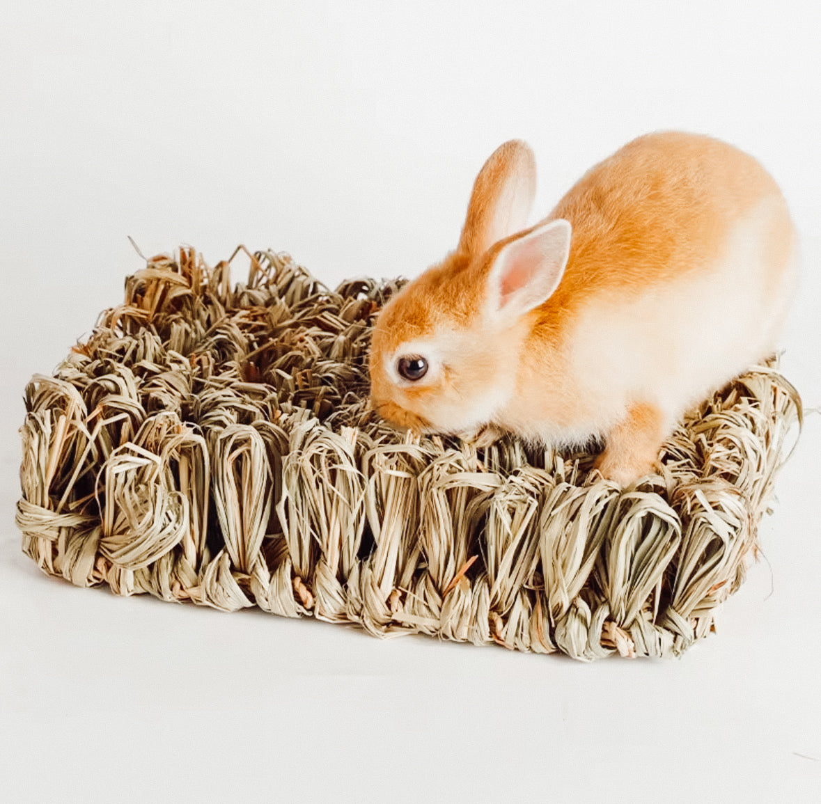Large Forage Snuffle Mat