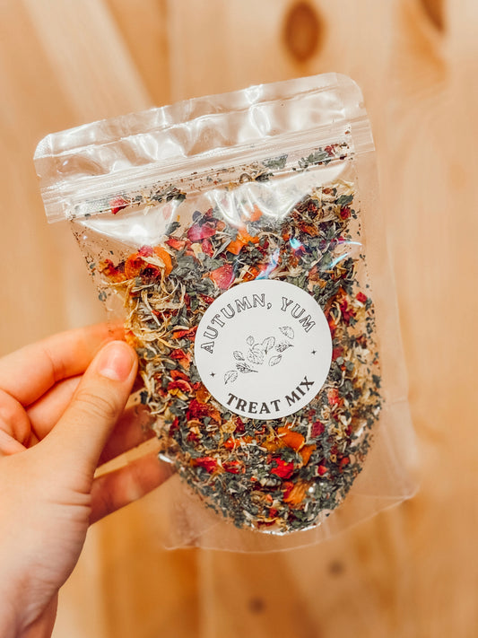 Autumn Yum -- Forage Treat Mix (25g)