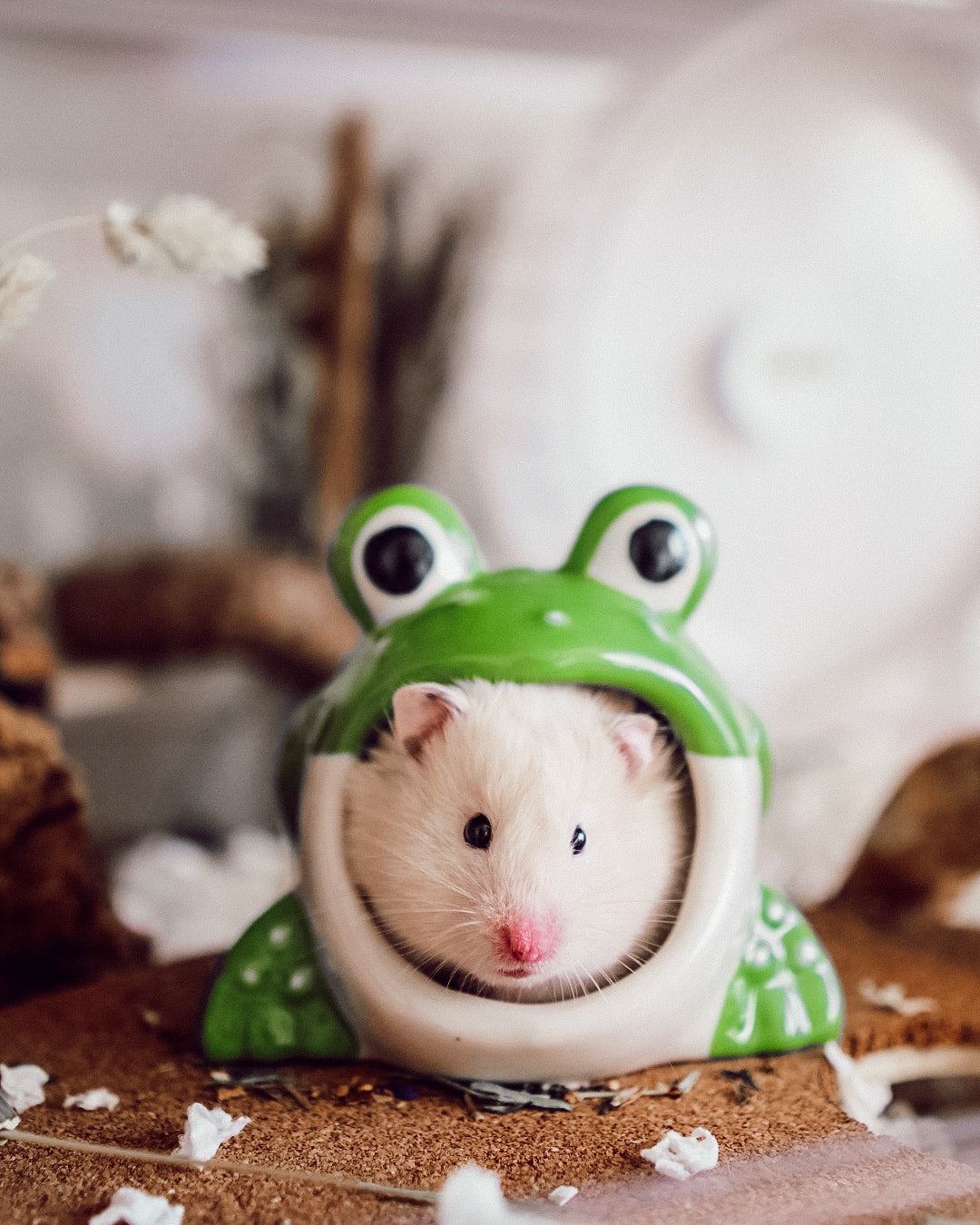 Ceramic Frog Hide