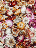 Load image into Gallery viewer, Fairy Garden Flower Mix (75g)
