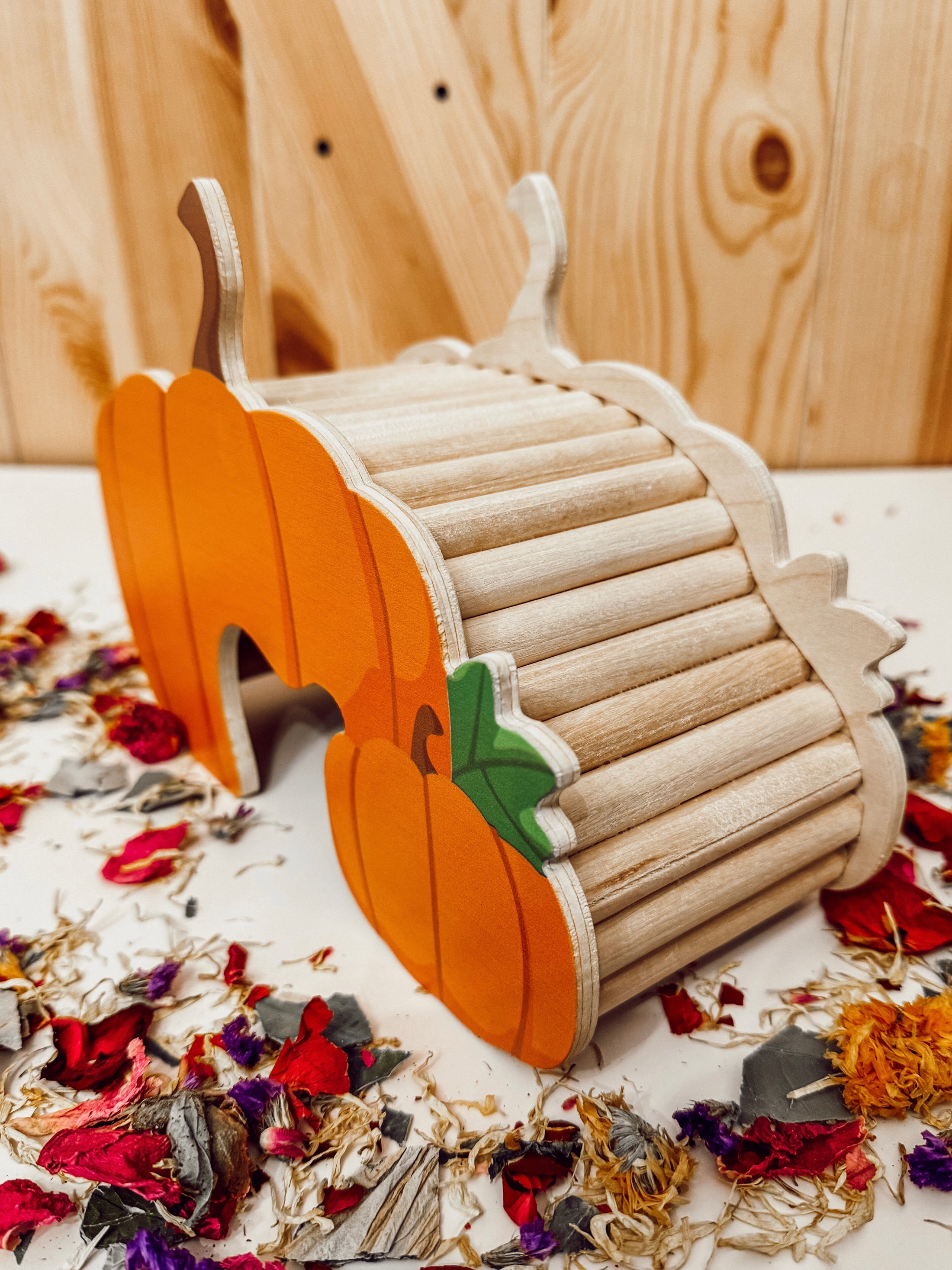 Pumpkin Patch Hide