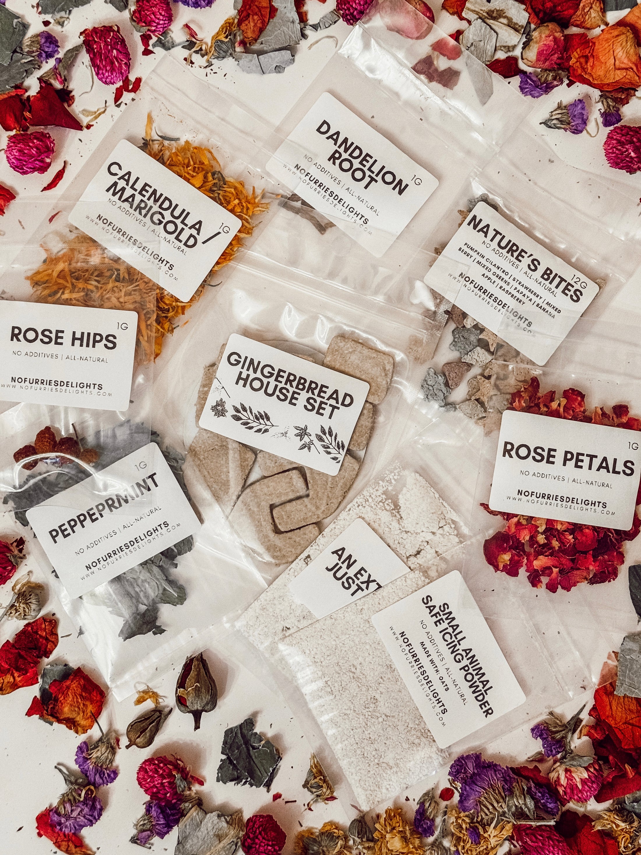 Gingerbread House Kit (safe for pets)