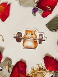 Load image into Gallery viewer, Sticker — Hamster Weight Lifting
