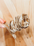 Load image into Gallery viewer, Palm Coil
