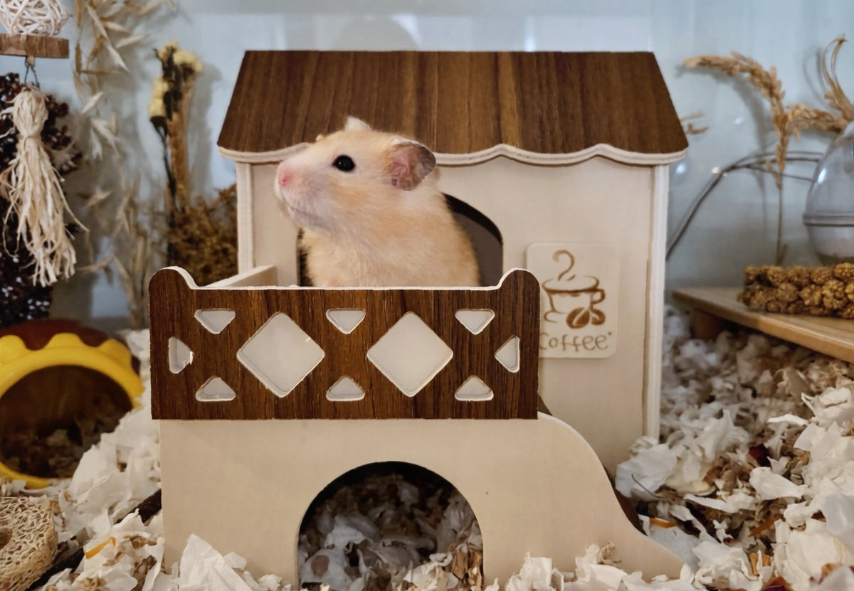 Desert Café Hide