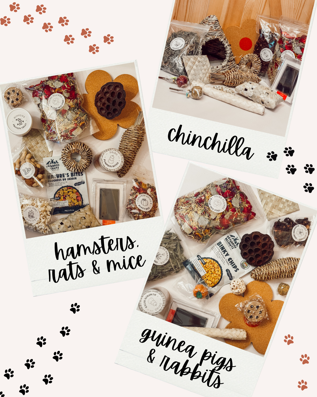 Boredom Breaker Grab Bags (limited stock)