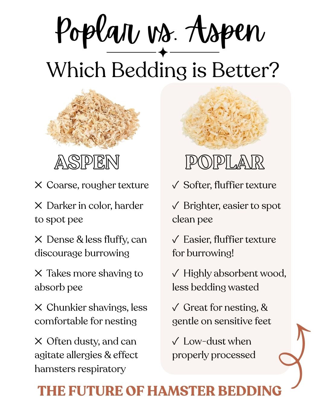 Poplar Wood Bedding (BUCATSTATE)