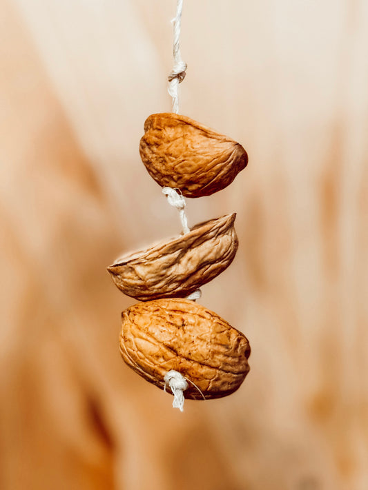 Hanging Walnut Forage Toy