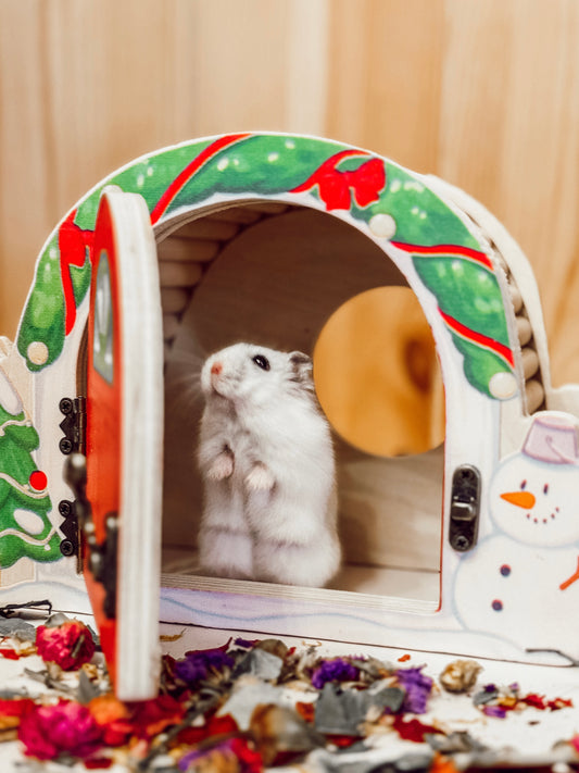 Magnetic Christmas Door Peek-A-Boo