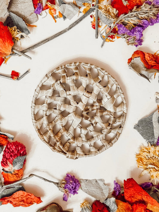 Palm Circle Chew