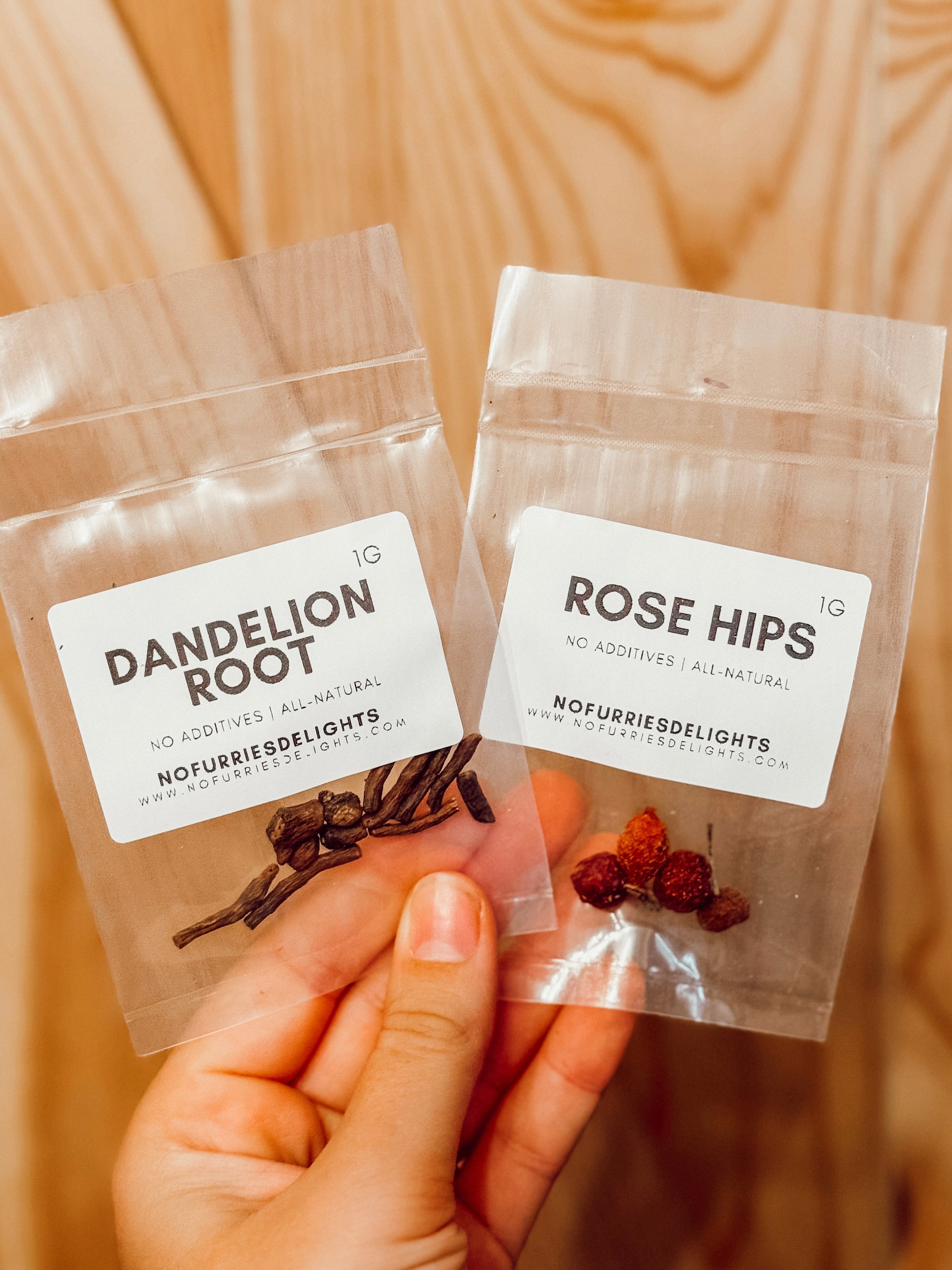 Gingerbread House Kit (safe for pets)