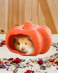 Load image into Gallery viewer, Ceramic Perfect Pumpkin
