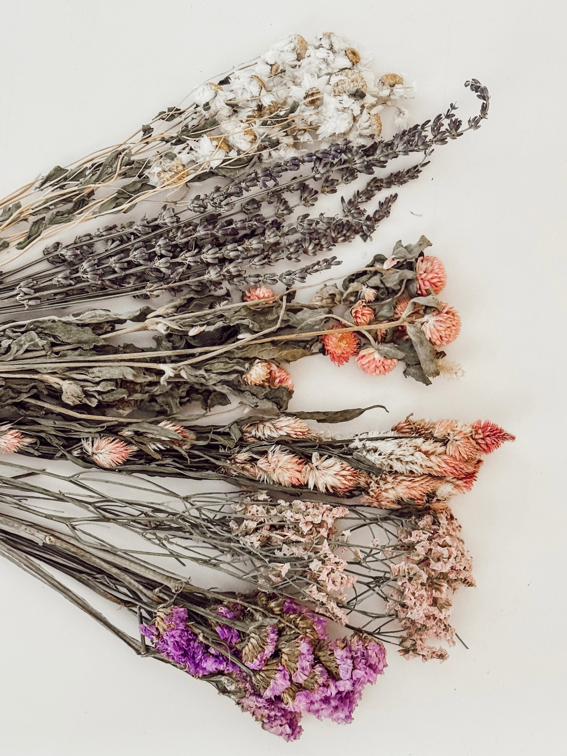 Violet Fairytale Spray Bundle