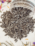 Load image into Gallery viewer, Raw Sunflower Seed Treats
