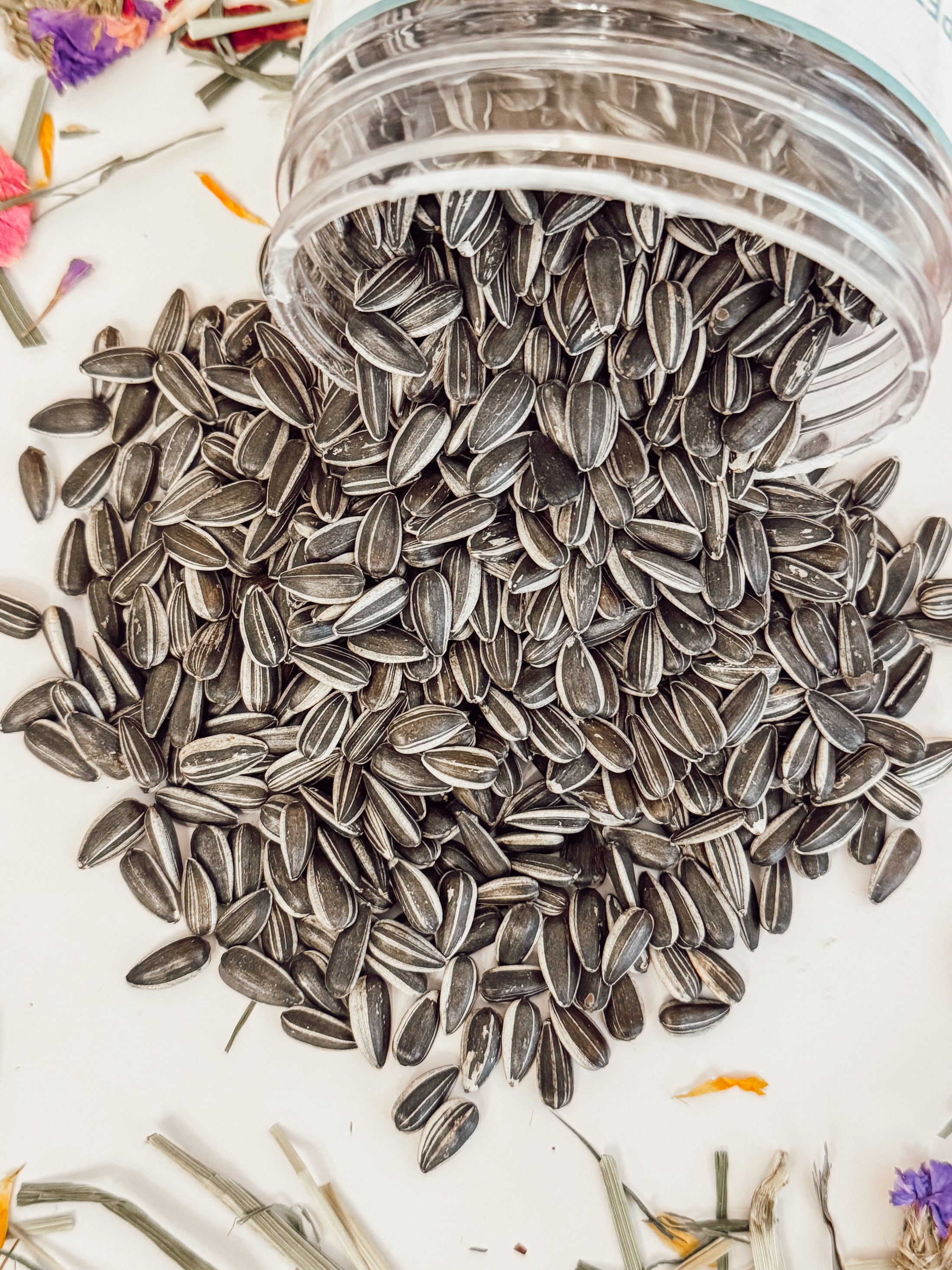 Raw Sunflower Seed Treats