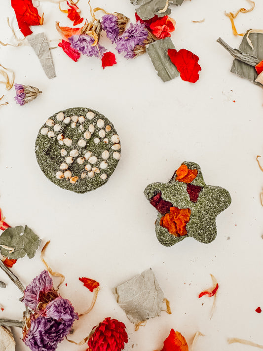 Wonderland Tea Bites