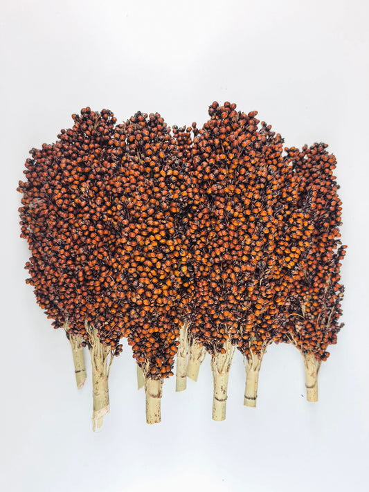 Red Sorghum in Bulk (500g)