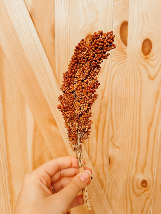 Red Sorghum (2-Pack)