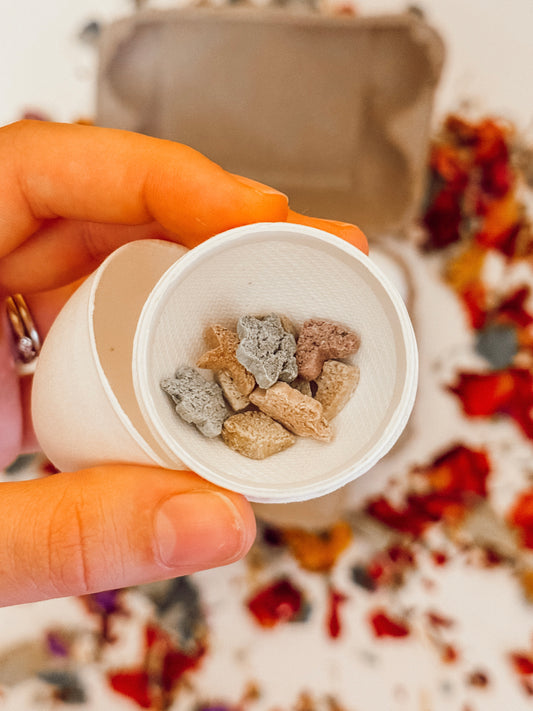 1/2 Dozen Paper Eggs Forage Toy