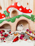 Load image into Gallery viewer, Mushroom Peek-A-Burrow
