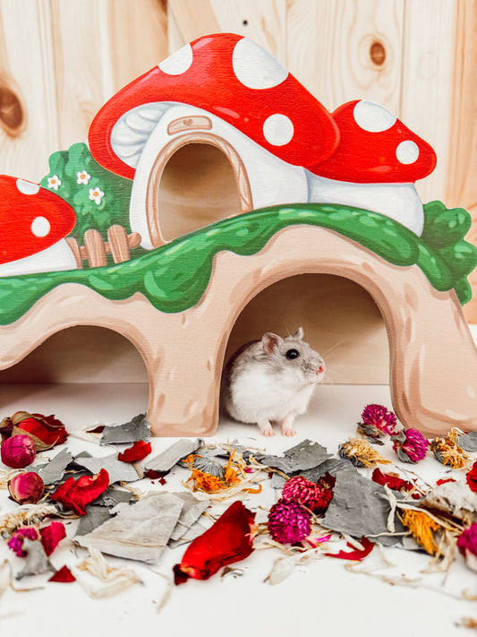 Mushroom Peek-A-Burrow