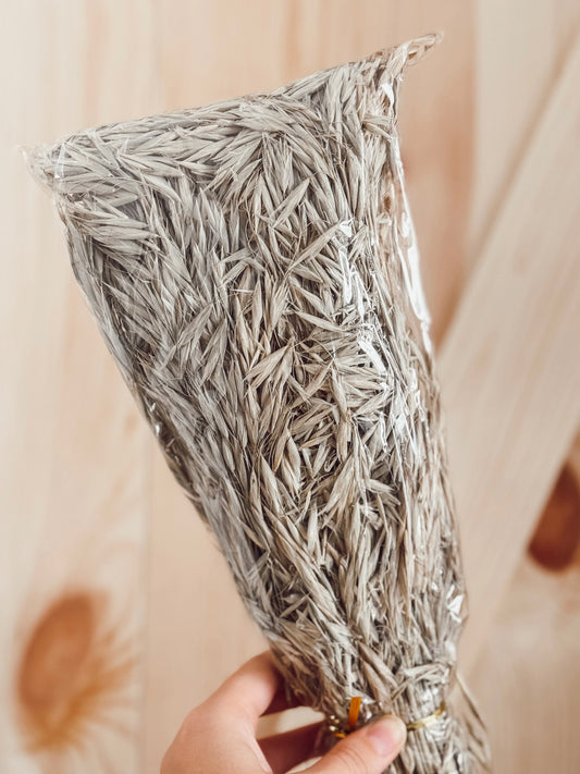 Large Bundle of Oat Sprays (200g)