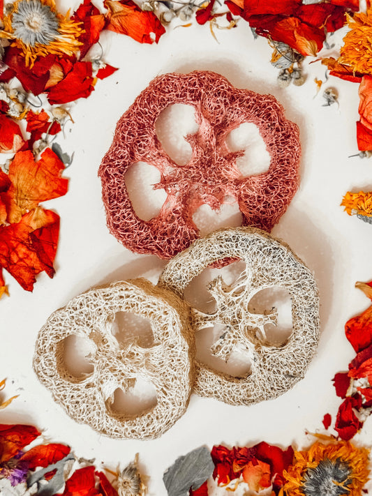 Loofah Variety Pack (3-pack)