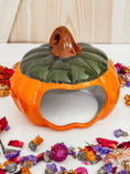 Load image into Gallery viewer, Ceramic Pumpkin Hide
