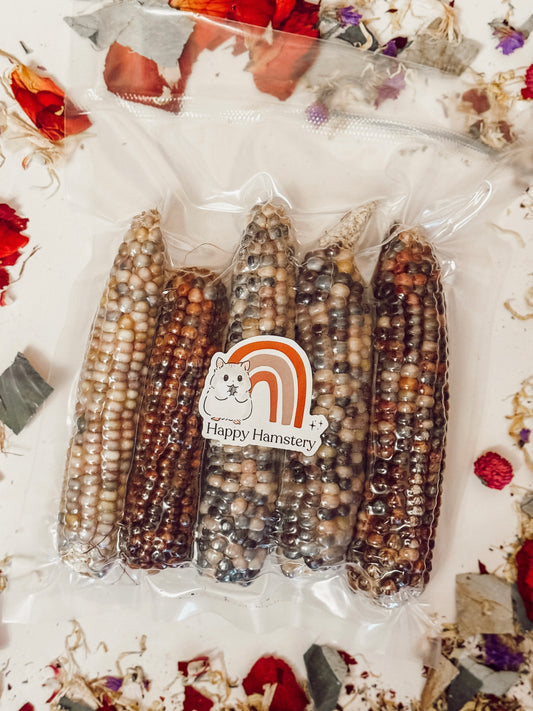 Large Multi-Colored Corn Cobs (5-Pack)