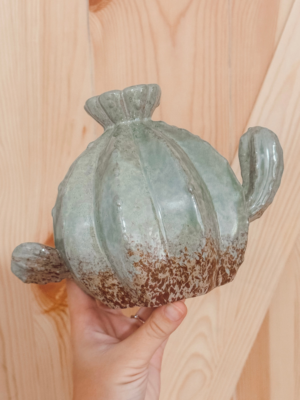 Ceramic Cactus Hide