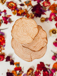 Load image into Gallery viewer, Woodland Fairy Tree Stump Ladder
