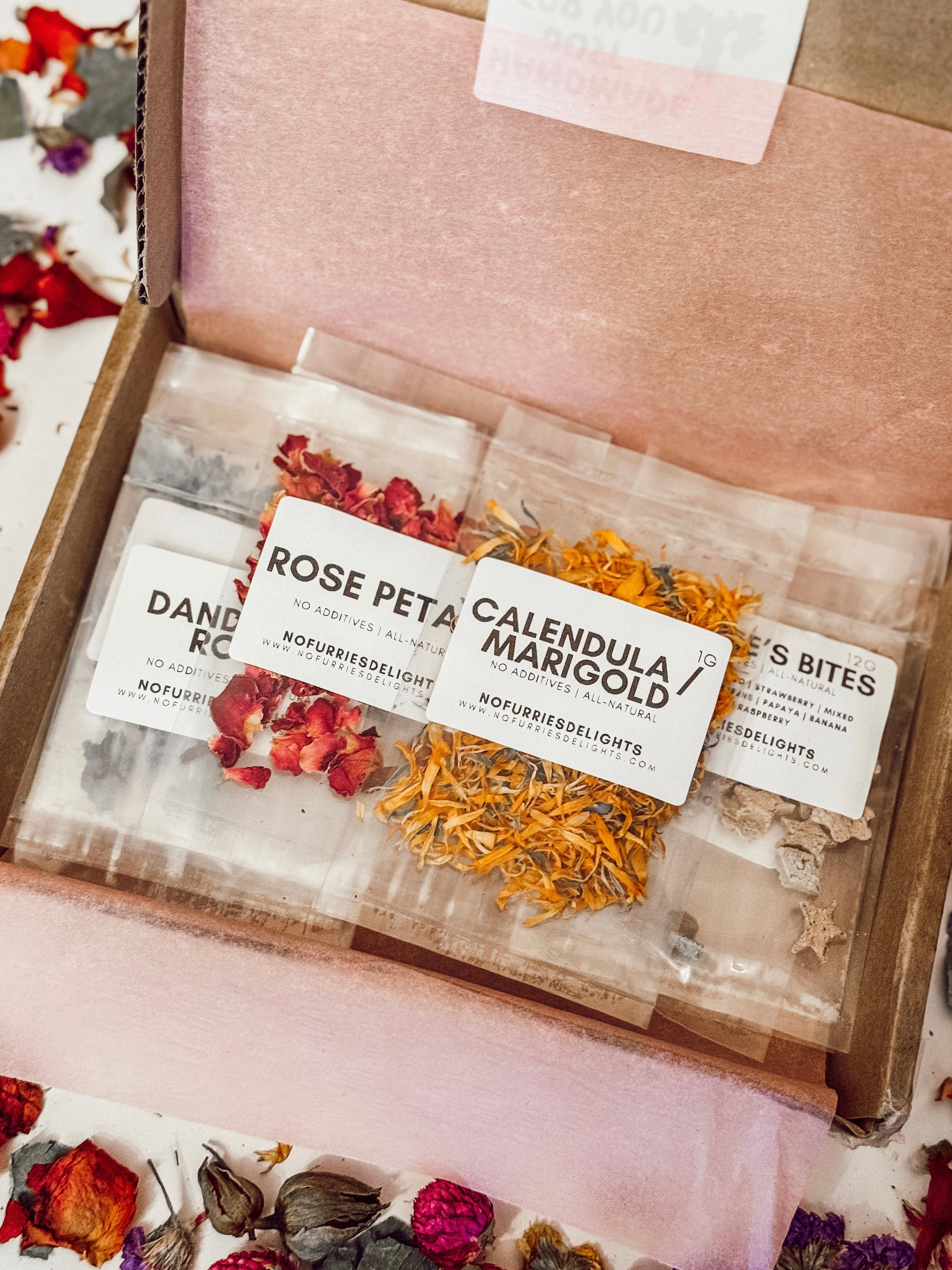 Gingerbread House Kit (safe for pets)