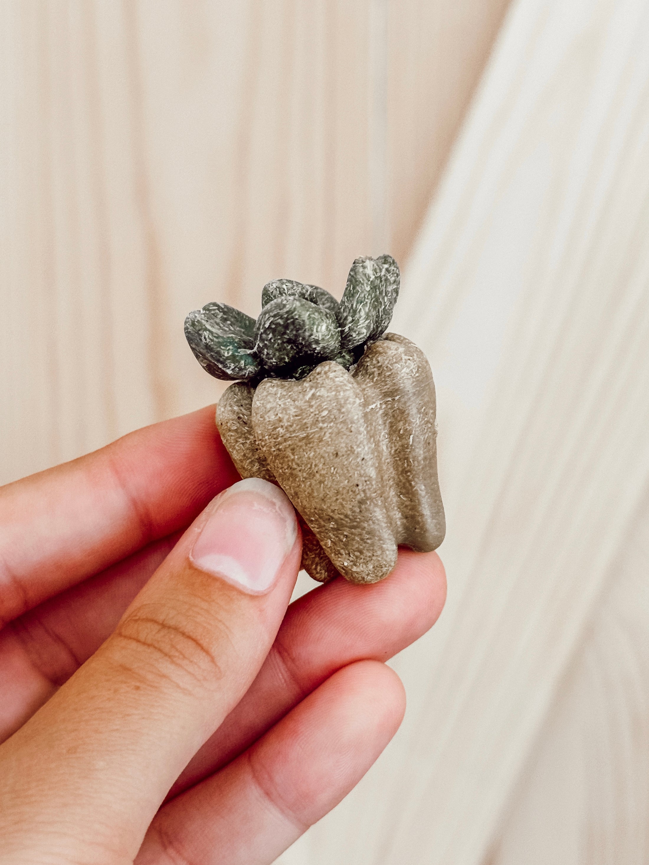 Dental Veggie Chews