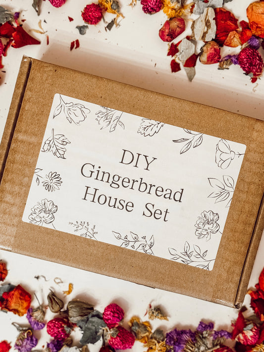 Gingerbread House Kit (safe for pets)