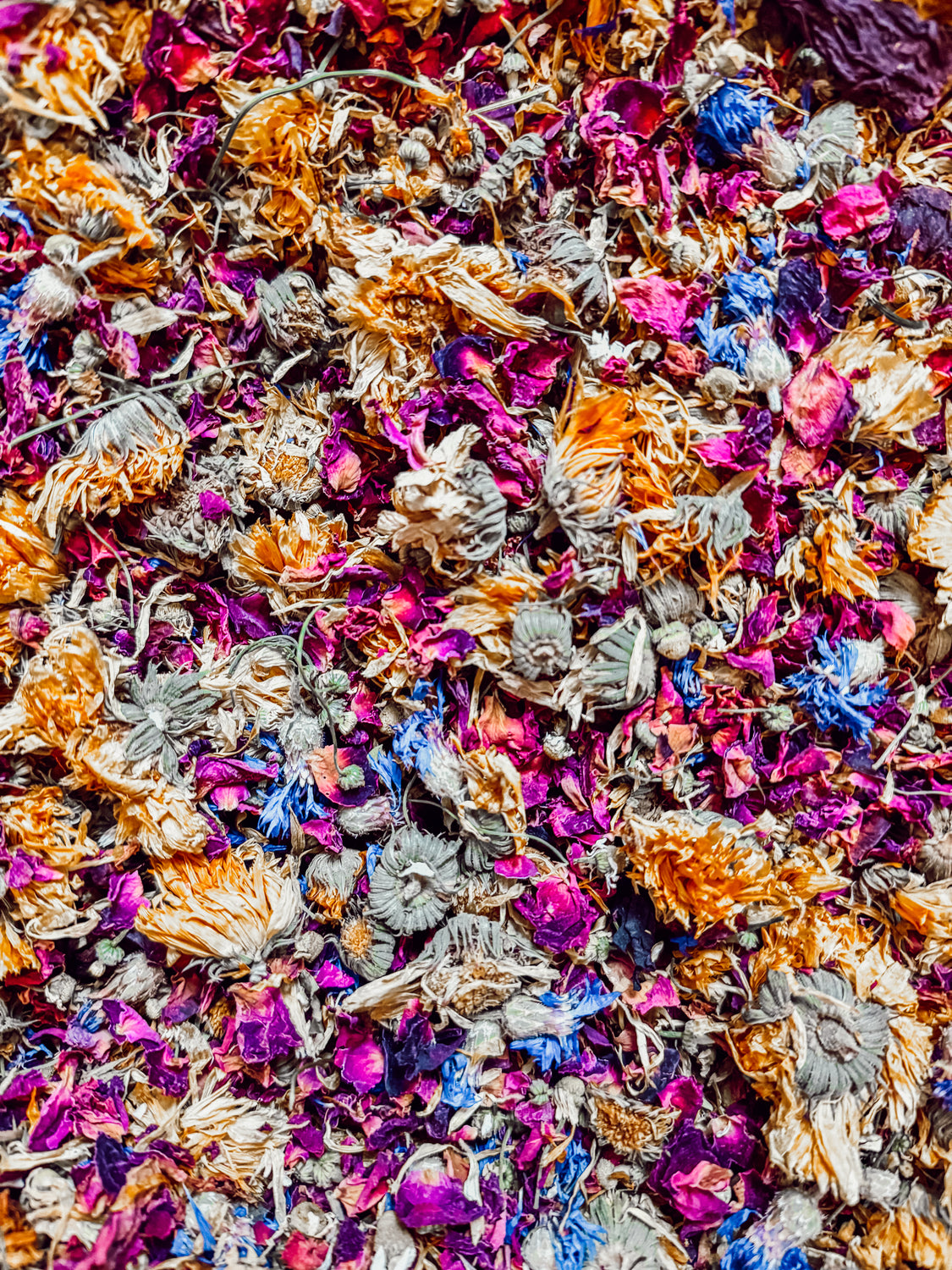 Dried Flowers