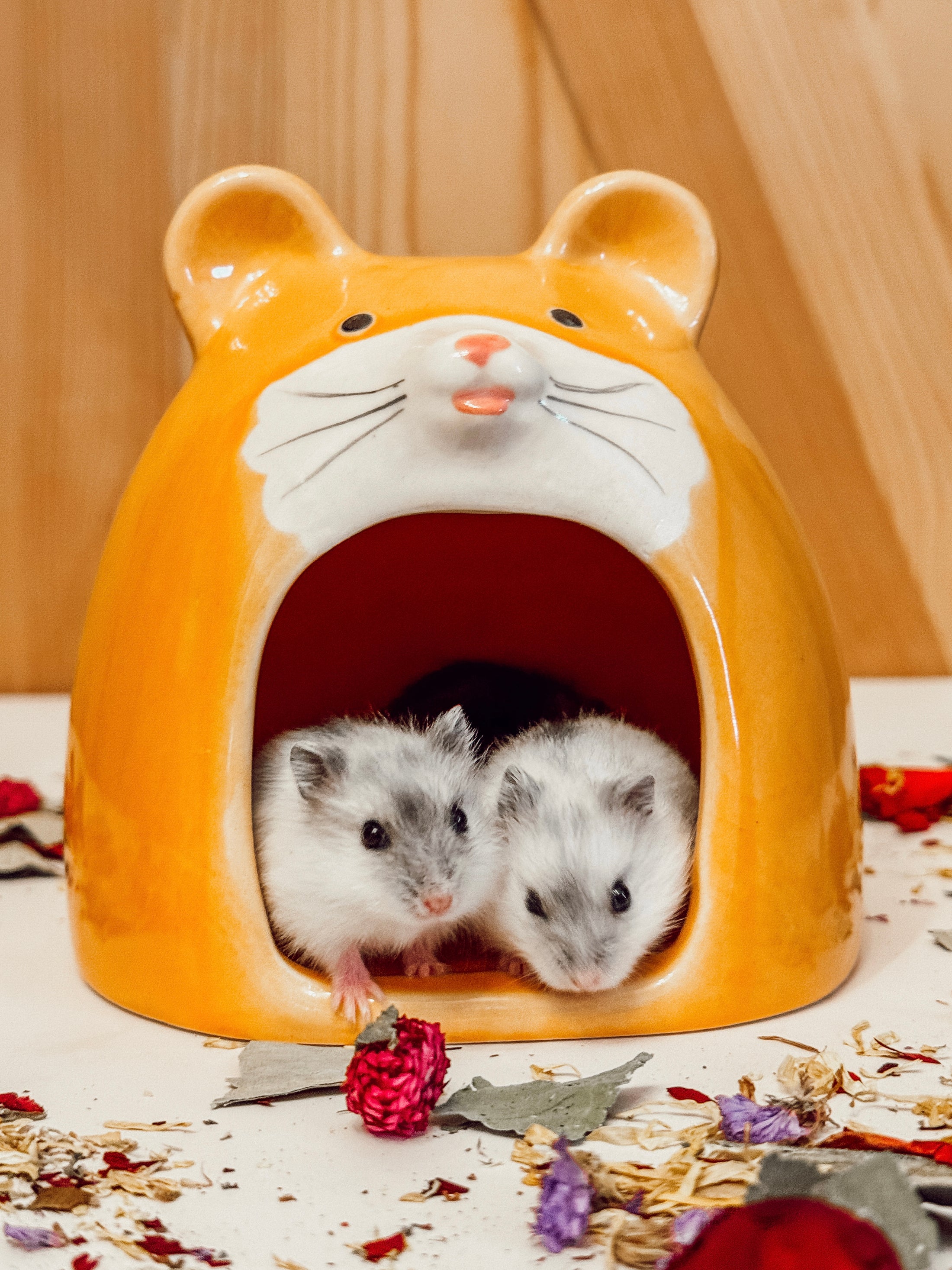 Ceramic Hamster Hideaway
