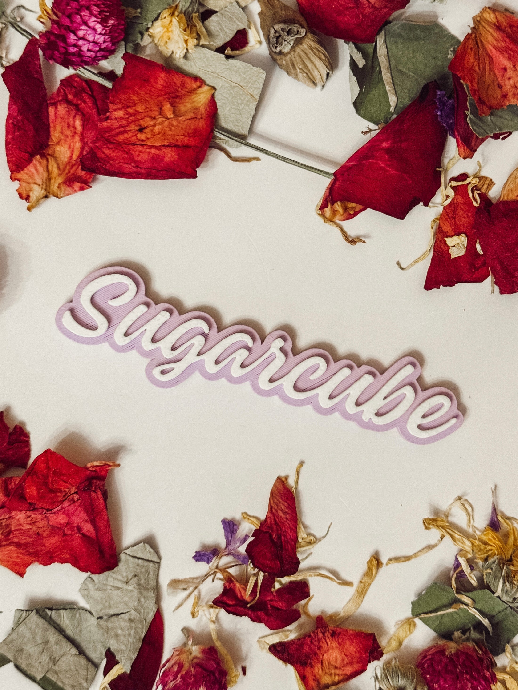 Custom Pet Name — Keychain (8 colors)