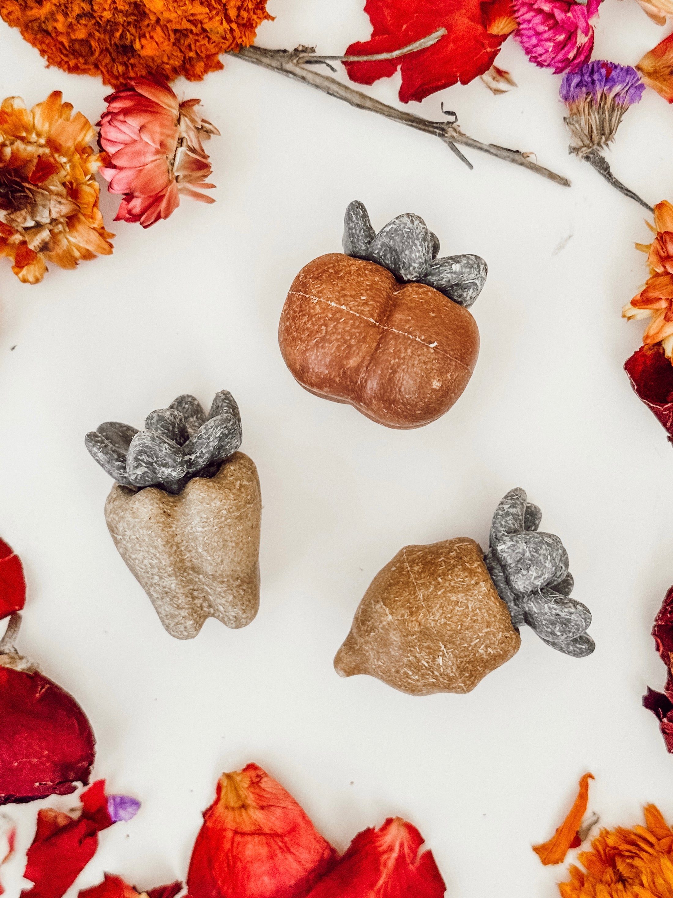 Dental Veggie Chews